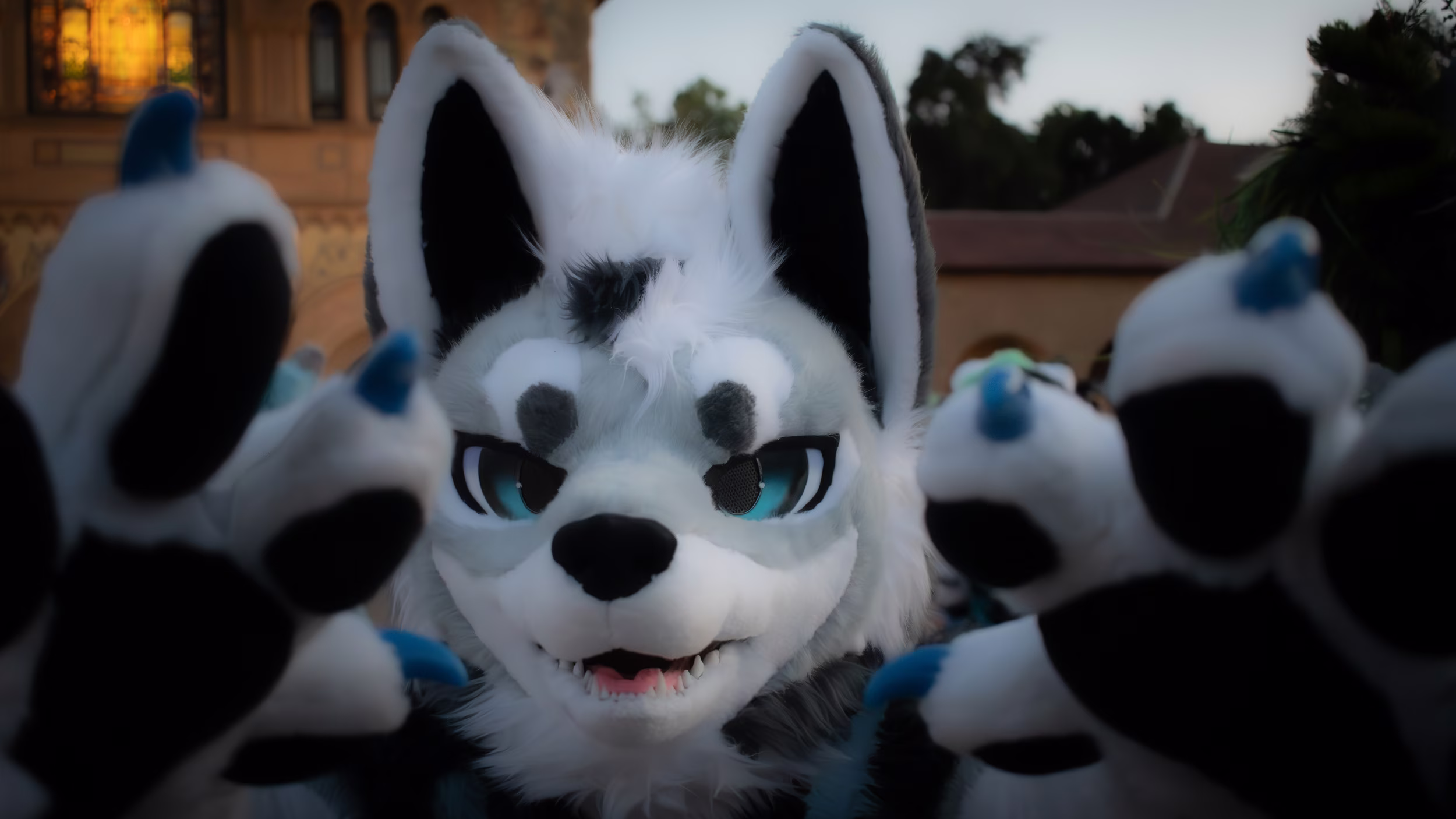 2024-08-18 - Blitzen - Stanford Main Quad - Stanford Furmeet (Stanford, CA)