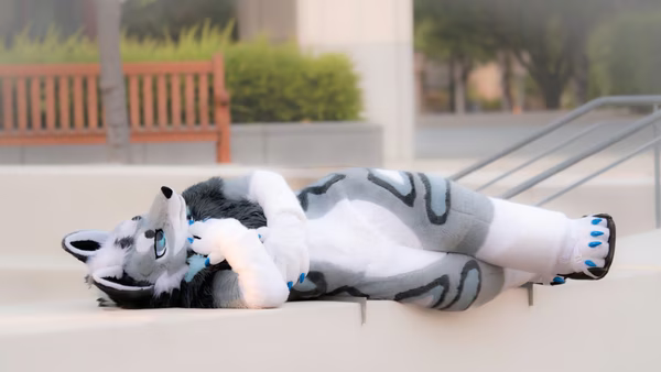 2024-08-18 - Blitzen - Stanford Science and Engineering Quad - Stanford Furmeet (Stanford, CA)