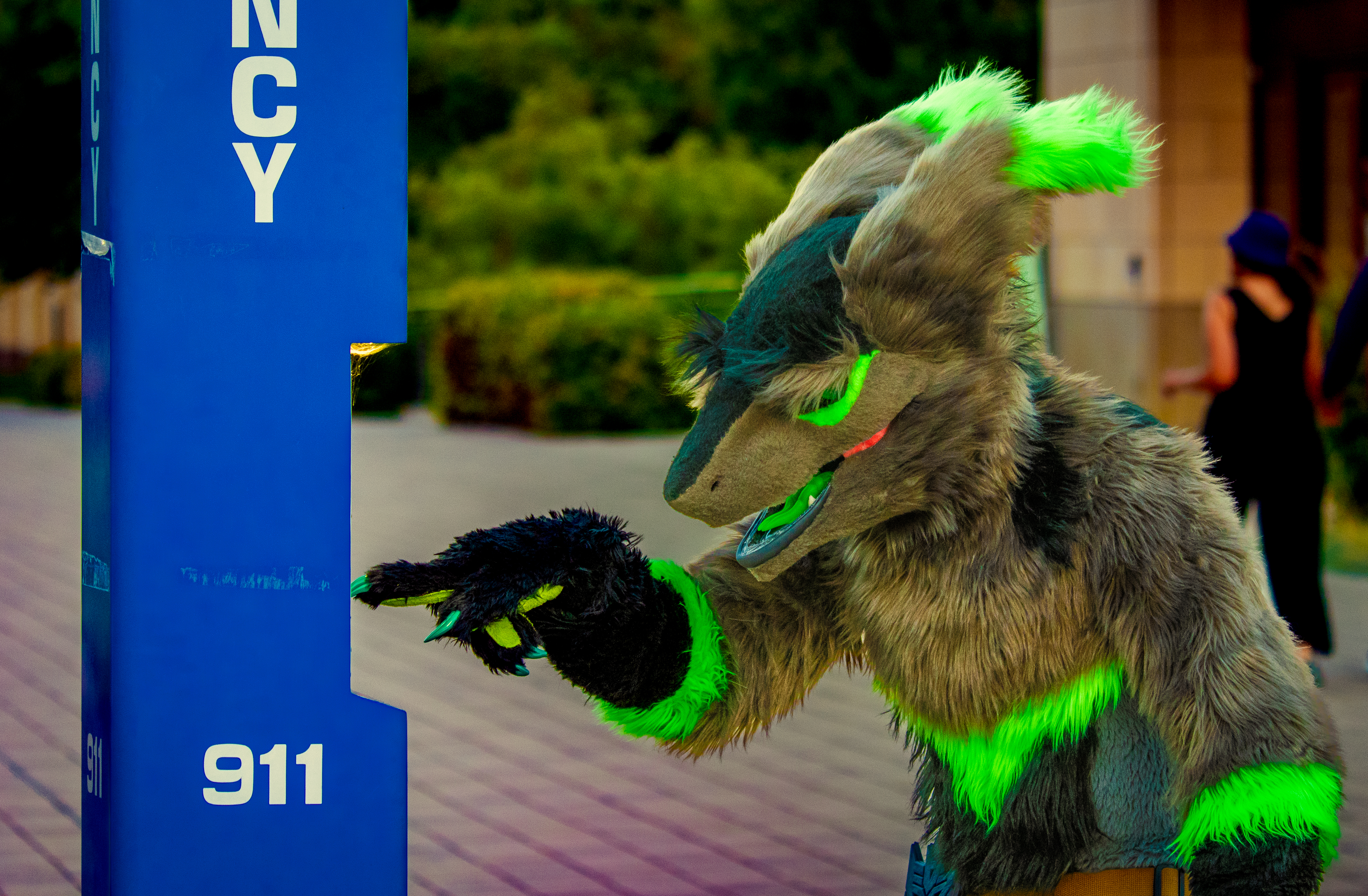 2024-08-18 - Vergil - Stanford Furmeet (Stanford, CA)