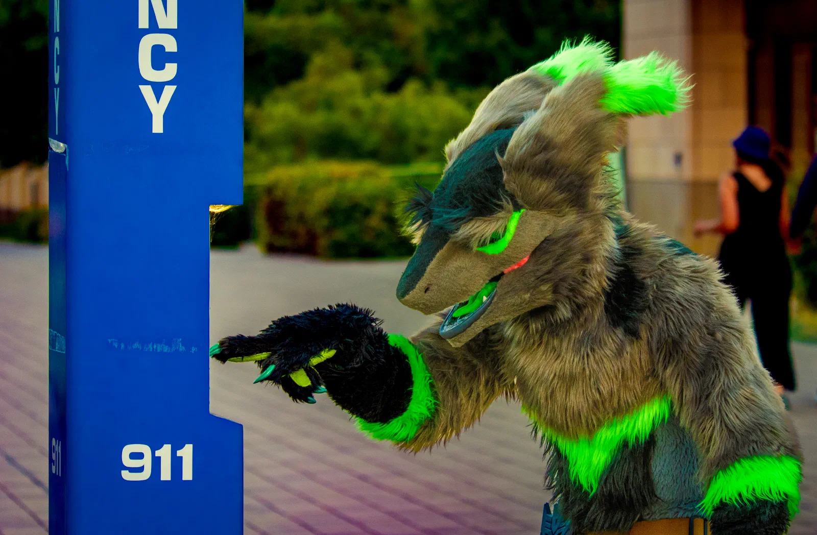 2024-08-18 - Vergil - Stanford Furmeet (Stanford, CA)