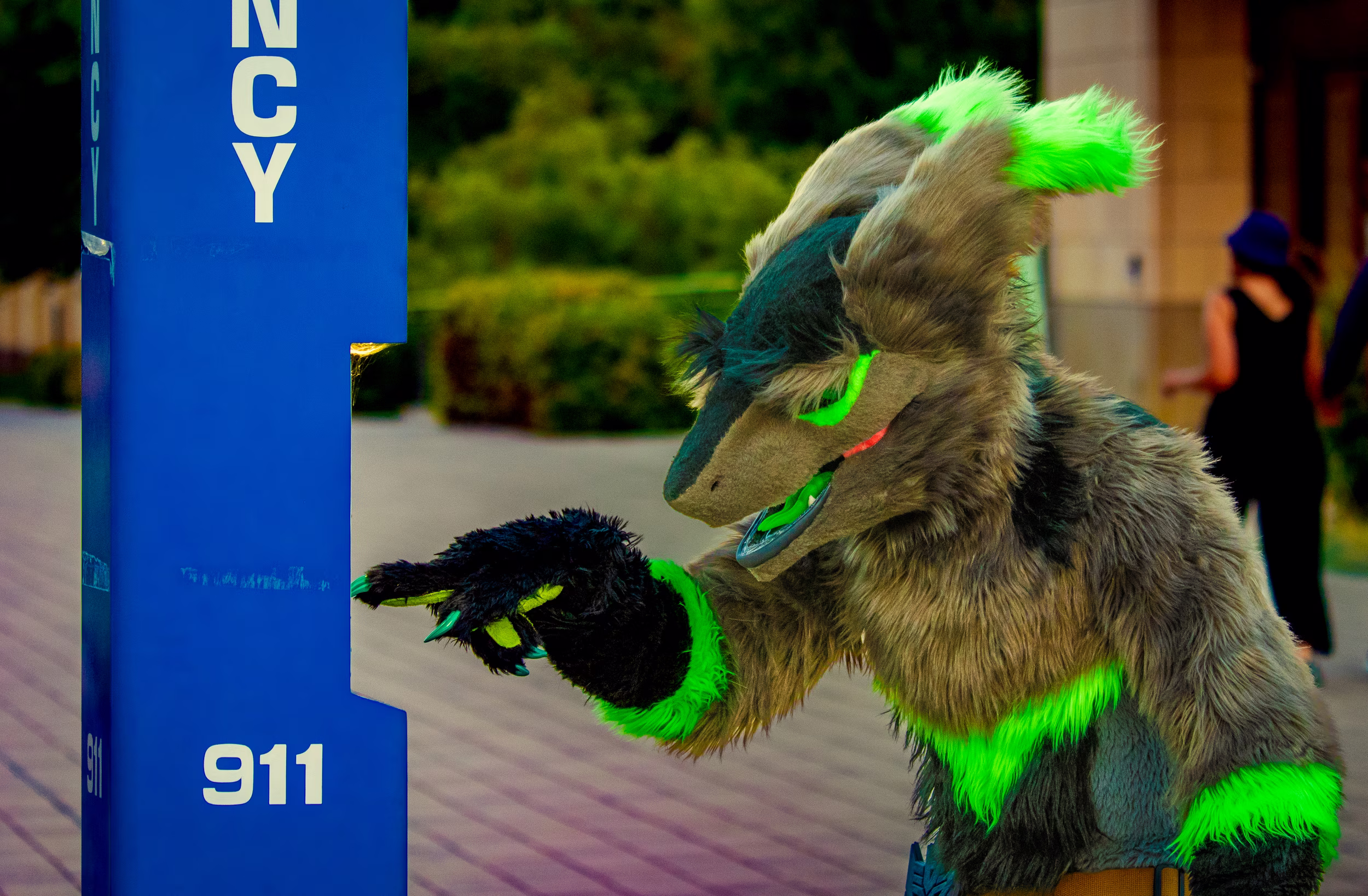 2024-08-18 - Vergil - Stanford Furmeet (Stanford, CA)