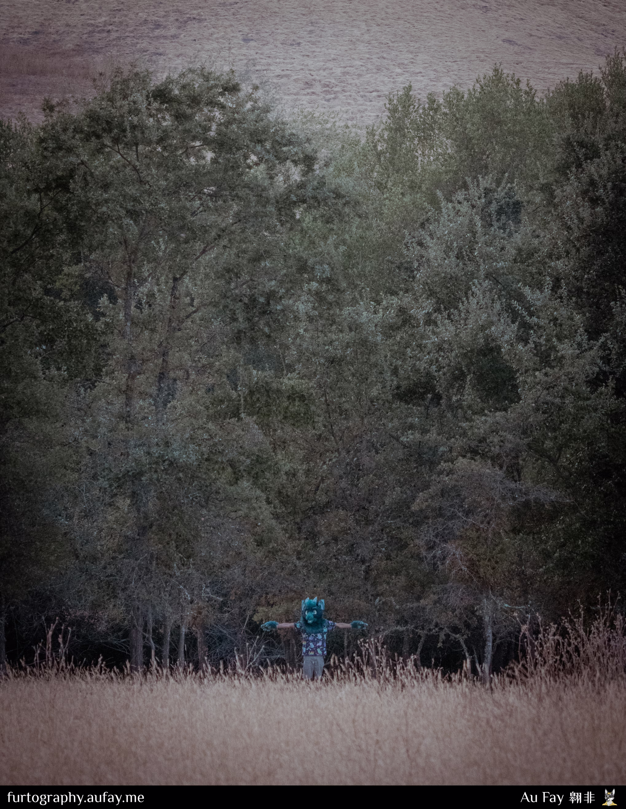 2024-08-25 - Caol T-posing - Briones Regional Park (Contra Costa County, CA)