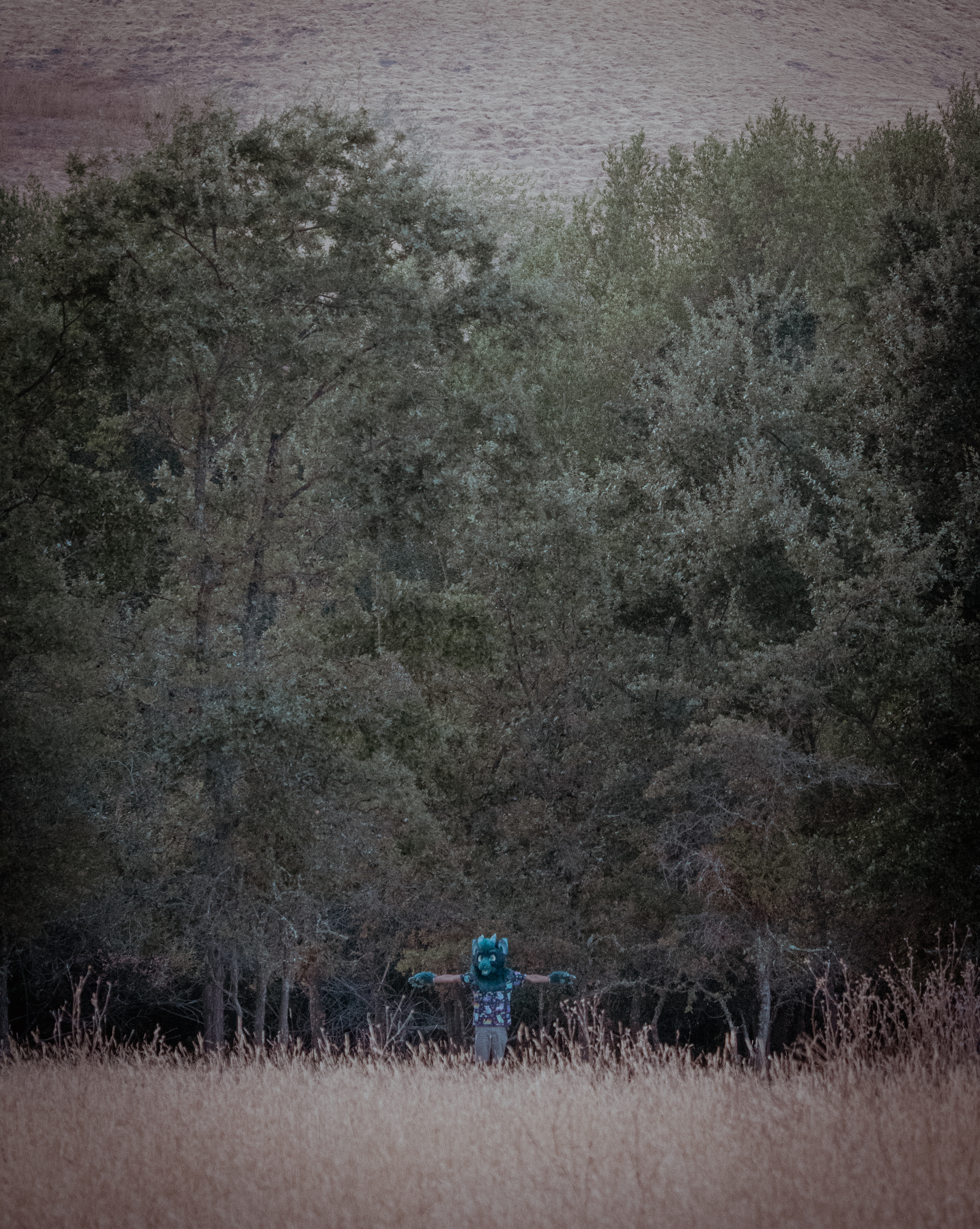 2024-08-25 - Caol T-posing - Briones Regional Park (Contra Costa County, CA)