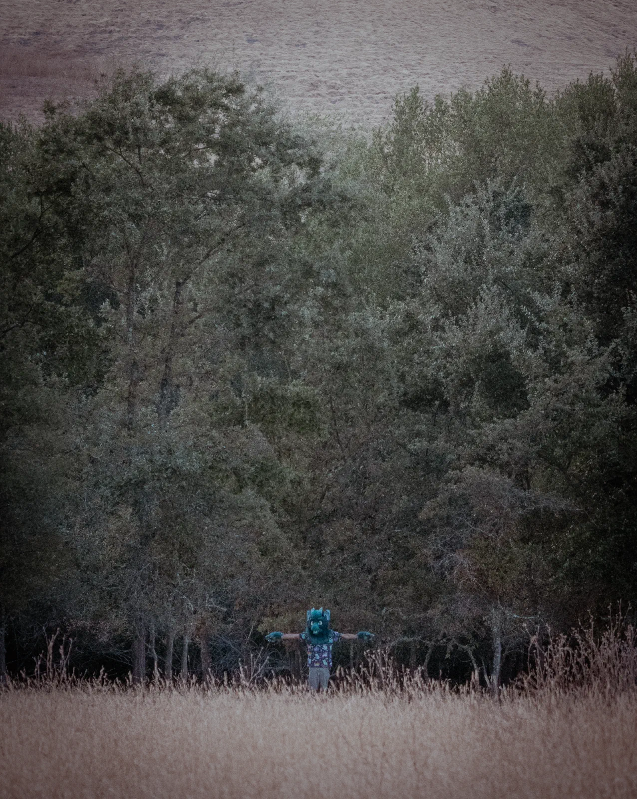 2024-08-25 - Caol T-posing - Briones Regional Park (Contra Costa County, CA)