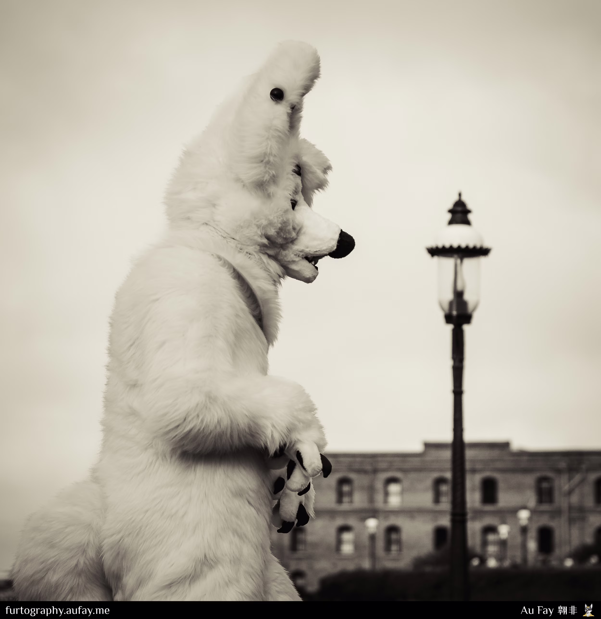 2024-09-21 - Aspen - PawGoda (San Francisco, CA)