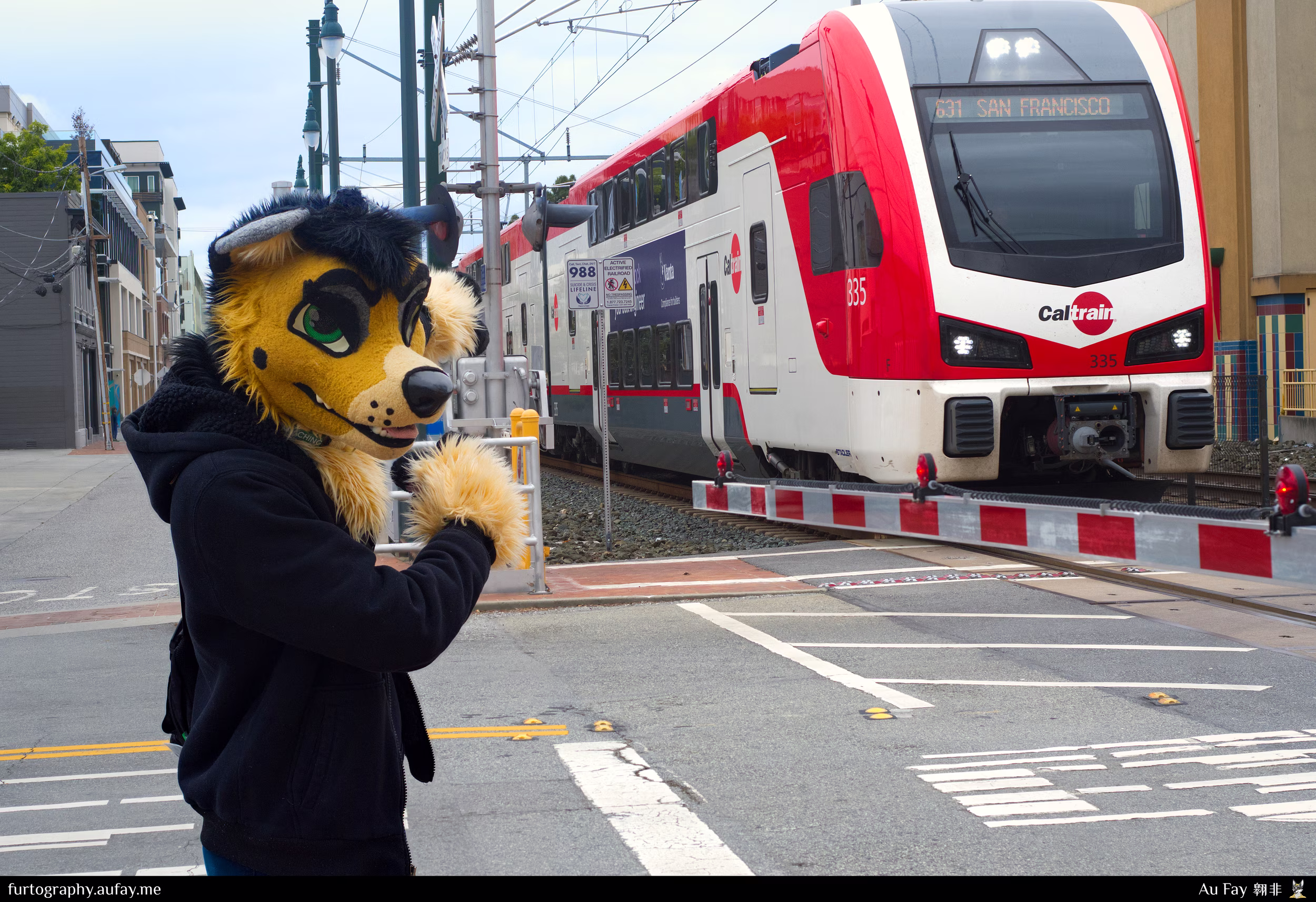 2026-04-25 - Raleigh with Caltrain - Petals and Scales (San Mateo, CA)